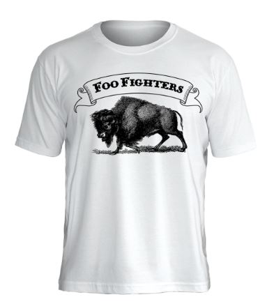 Camiseta Foo Fighters Bizon