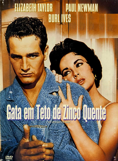 Gata Em Teto De Zinco Quente - DVD