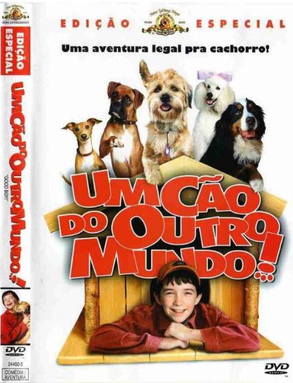 Um Cão do Outro Mundo - DVD