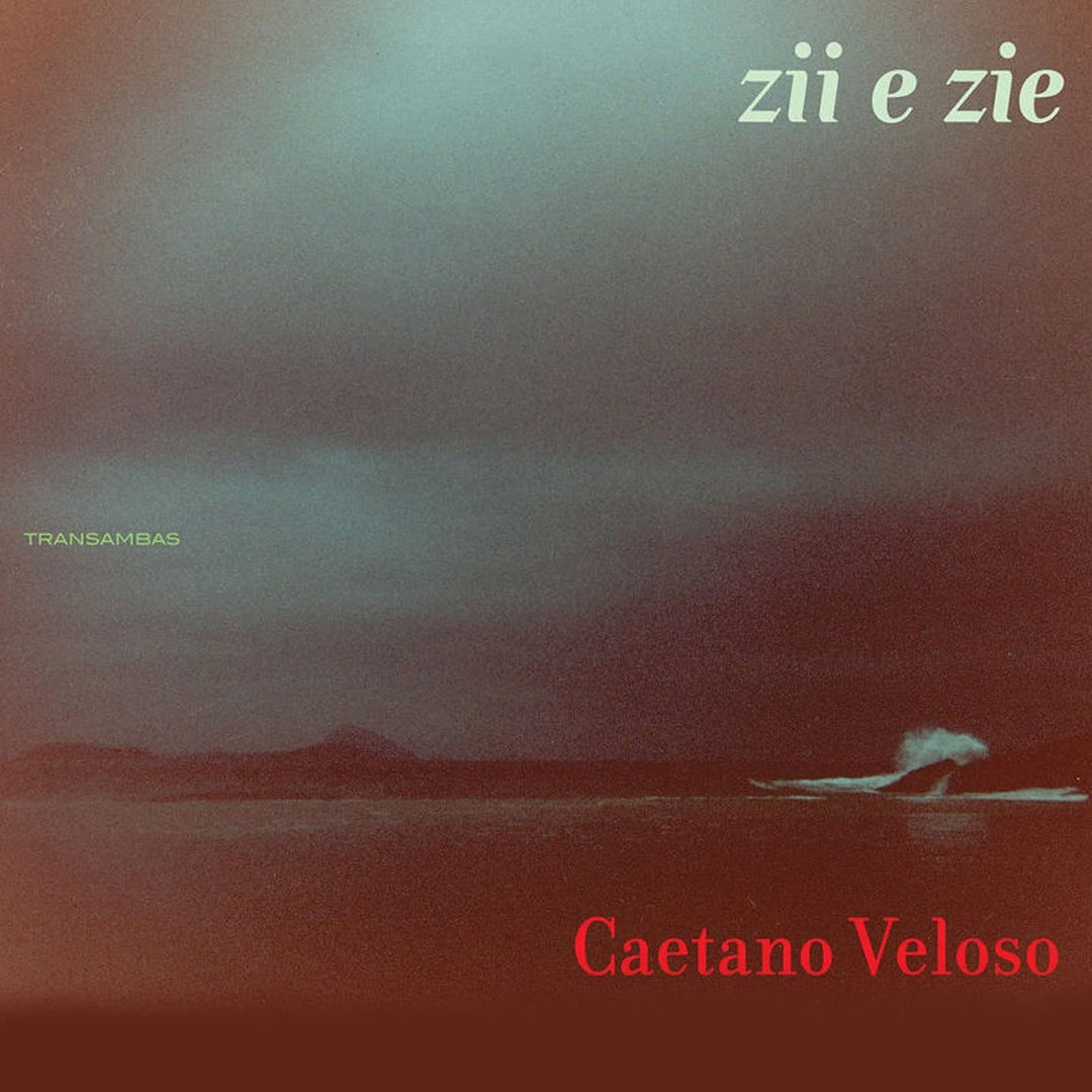 Caetano - Zii e Zi - CD