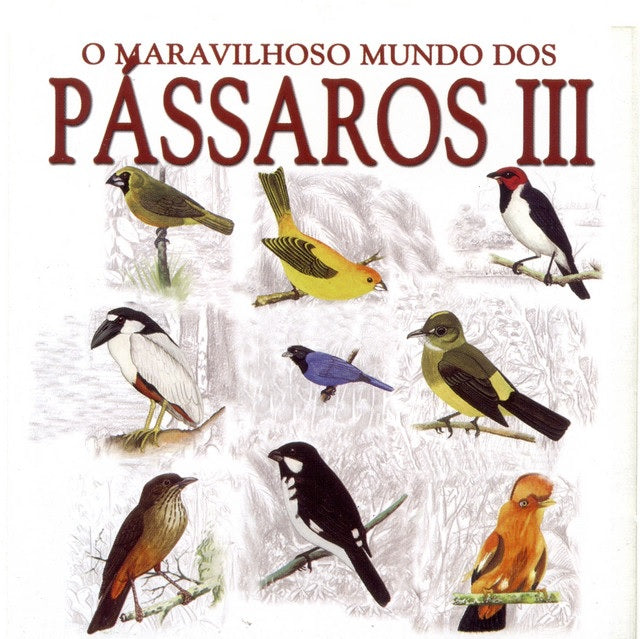 O Maravilhoso Mundo Dos Pássaros III - CD