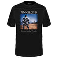 Camiseta Infantil Pink Floyd Delicate Sound of Thunder 1