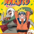Naruto - O Novo Mestre De Naruto- Vol. 16 - DVD 1