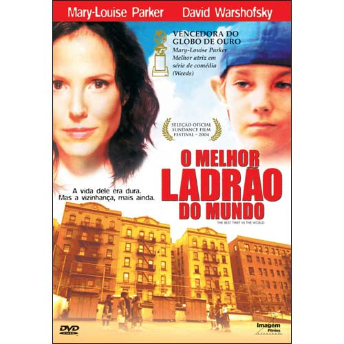 O Melhor Ladrão do Mundo - DVD