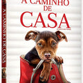 A Caminho De Casa Dvd 1