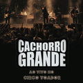 Cachorro Grande, Ao Vivo no Circo Voador - DVD 1