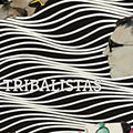 Tribalistas - Tribalistas 2017 - DVD 1