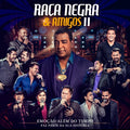 Raça Negra & Amigos II - CD 1
