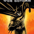 Batman: O Cavaleiro de Gotham - DVD 1