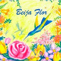 Beija Flor - CD 1