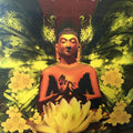 Buddha Graphics: Buddha Lounge + Computer Graphics - DVD 1