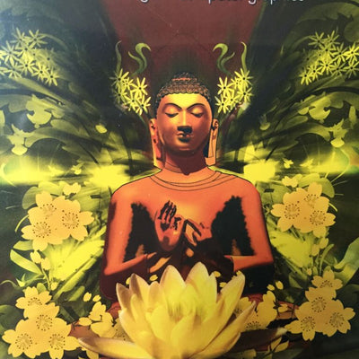 Buddha Graphics: Buddha Lounge + Computer Graphics - DVD