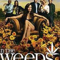 Weeds - Uma Cómedia Sobre a Vida no Suburubio - Segunda Temporada - DVD 1