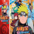 Box 1 Naruto Shippuden 2ª Temporada - DVD 1