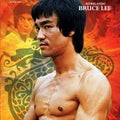 O Dragão Chinês - DVD 1
