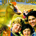 Um Pato Muito Louco - DVD 1
