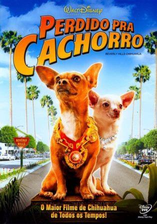 PERDIDO PRA CACHORRO -  DVD
