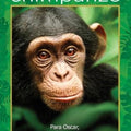 Cavalo De Guerra -  DVD 1