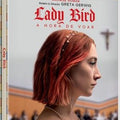 Lady Bird: A Hora de Voar - DVD 1