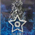 Live Cult: The Cult Music Without Fear, Live From The Grand Olympic Auditorium Los Angeles - DVD 1