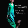 Adriana Calcanhotto: Olhos de Onda - DVD 1