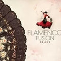 Flamenco Fusion Deluxe - 3 CDs Clássica 1