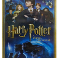 Harry Potter e A Pedra Filosofal DVD 1