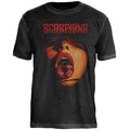 Camiseta Especial Scorpions 1