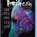 Boi Neon - BLU RAY 1